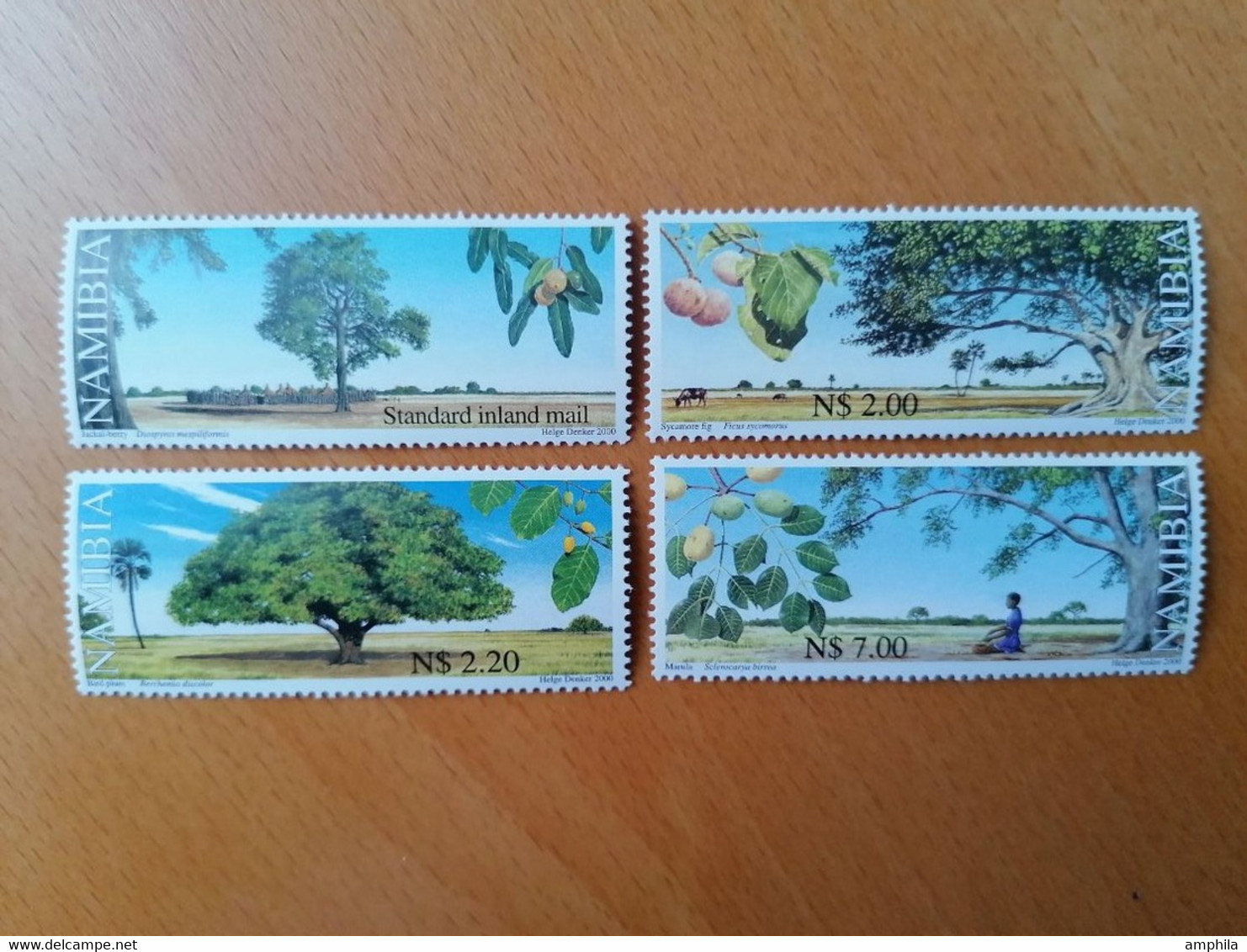 Arbre Tree Baüme - Namibia (1990- ...)