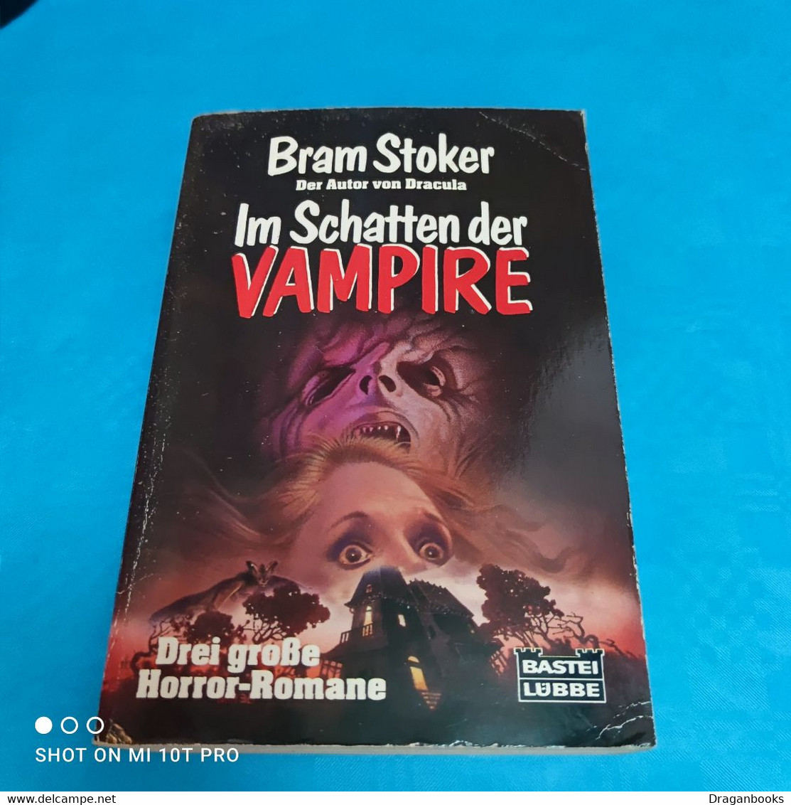 Bram Stoker - Im Schatten Der Vampire - Thriller