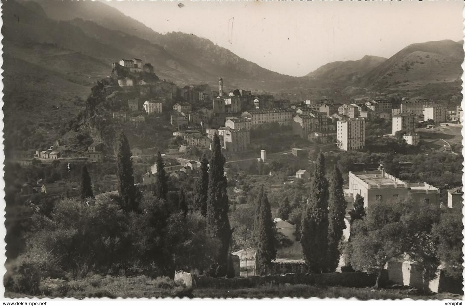 CORTE - CORSE - CARTE PHOTO - VUE GENERALE ANNEE 1950 - Corte