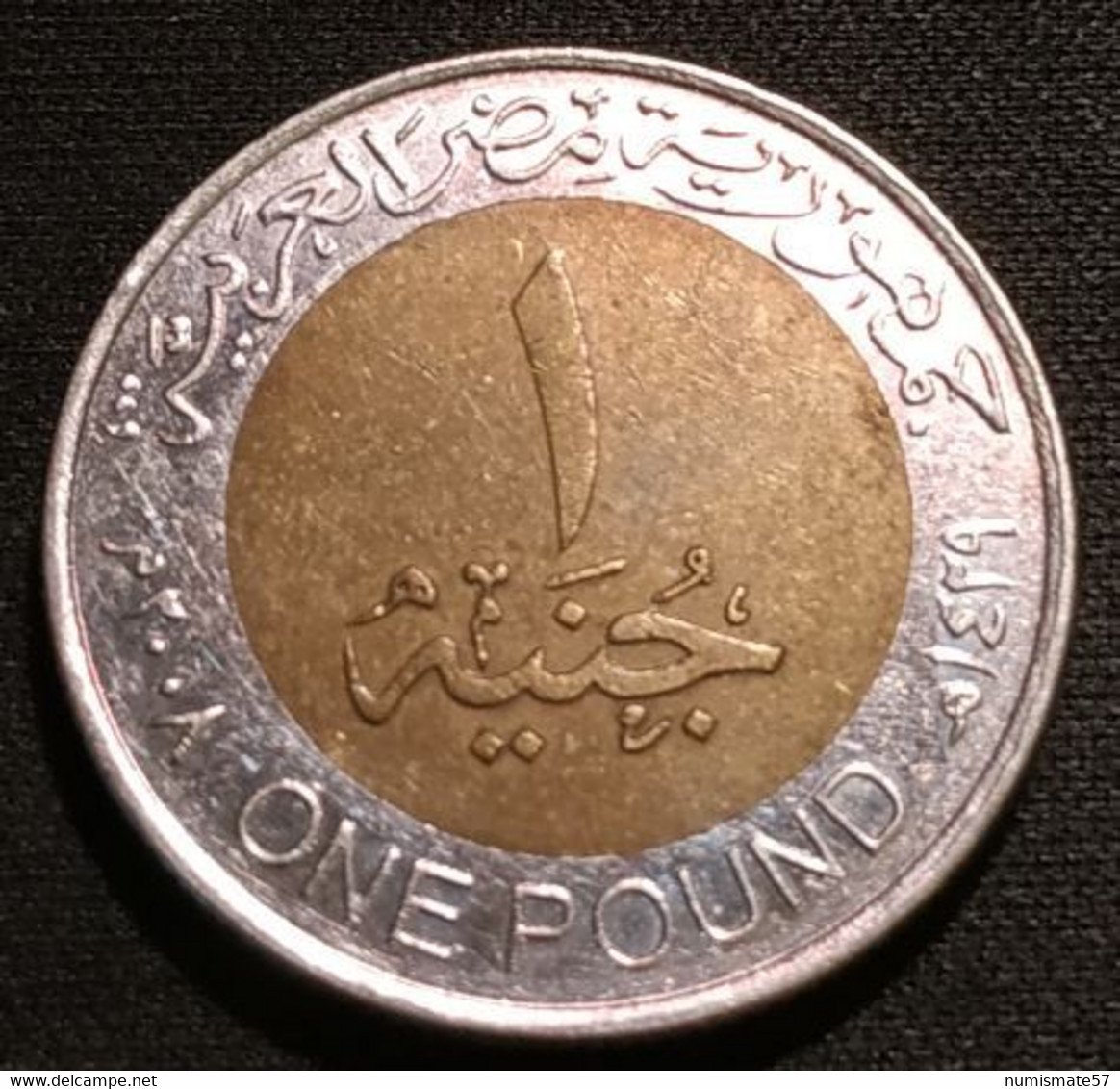 EGYPTE - EGYPT - 1 POUND 2008 ( 1429 ) - KM 940a - ( Toutânkhamon - Magnétique ) - Aegypten