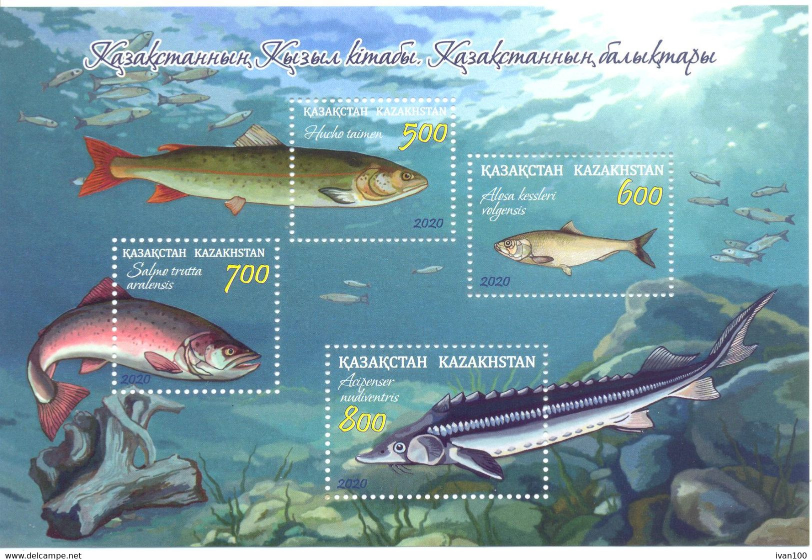 2020.Kazakhstan, Fishes Of Kazakhstan, S/s,  Mint/** - Kazakhstan