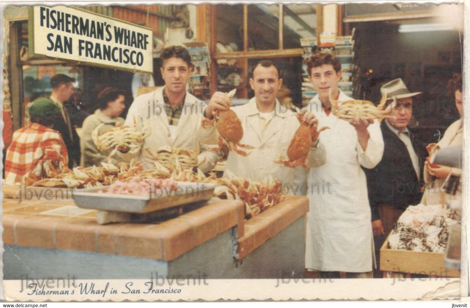 SAN FRANCISCO (CALIFORNIA)  - Fisherman Warf With Crabs And Lobsters - Anaheim