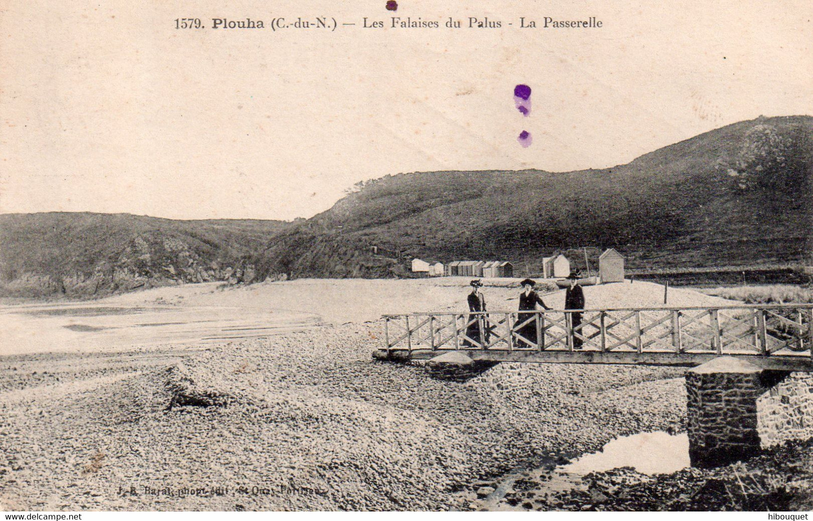 CPA, Plouha, Les Falaises Du Palus, La Passerelle, Animée - Plouha