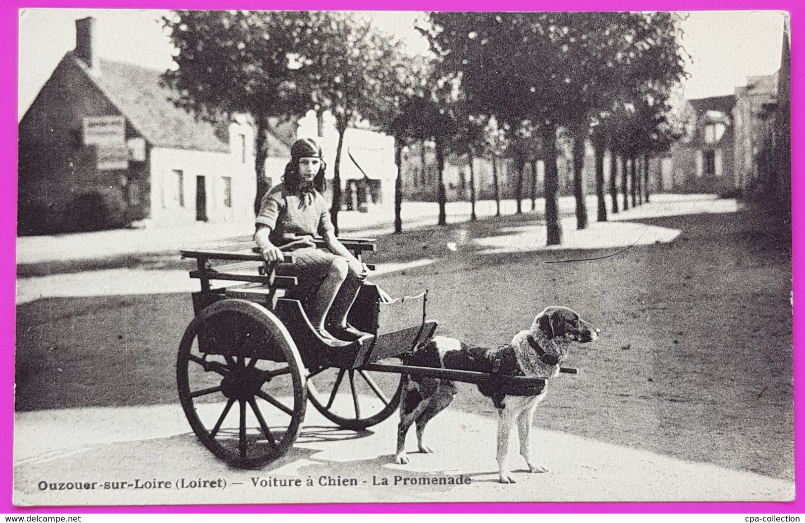 Cpa Ouzouer Sur Loire Voiture à Chien La Promenade Carte Postale 45 Loiret Rare Attelage Chien Voiture à Chiens - Ouzouer Sur Loire