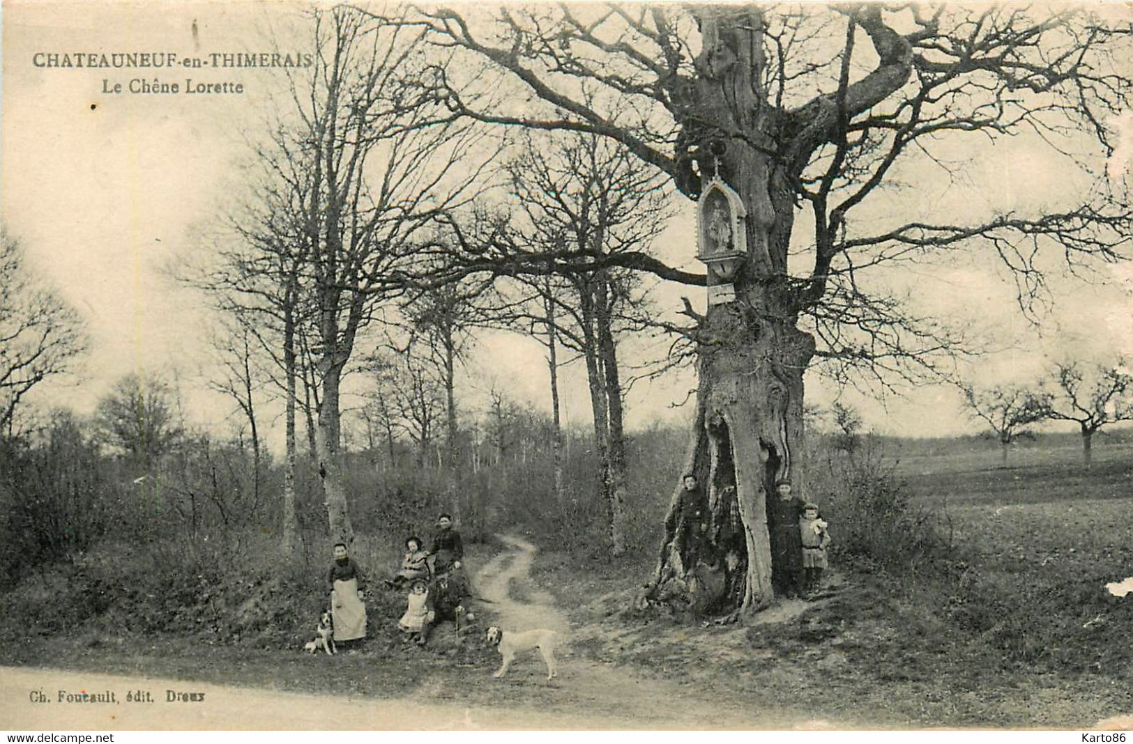 Châteauneuf En Thimerais * Thymerais * Le Chêne Lorette * Arbre - Châteauneuf