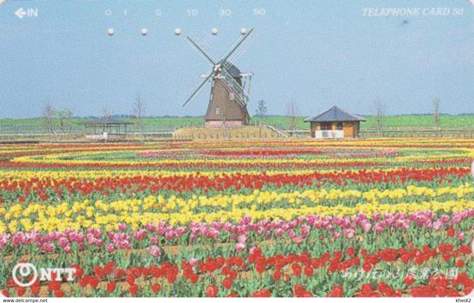 Télécarte JAPON / NTT 251-359 A - MOULIN & Fleur Champ De Tulipes - MILL & Flower JAPAN Phonecard -  MÜHLE  - 157 - Landschappen