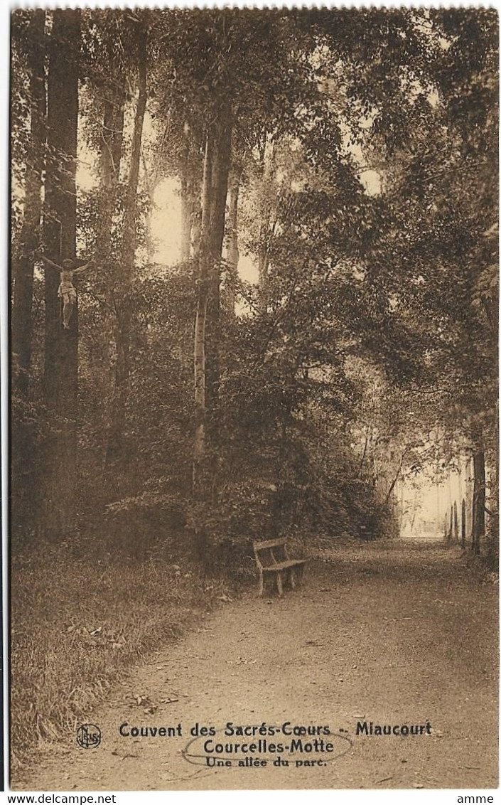 Courcelles - Motte    *  Couvent Des Sacrés-Coeurs -  Miaucourt  - Une Allée Du Parc - Courcelles