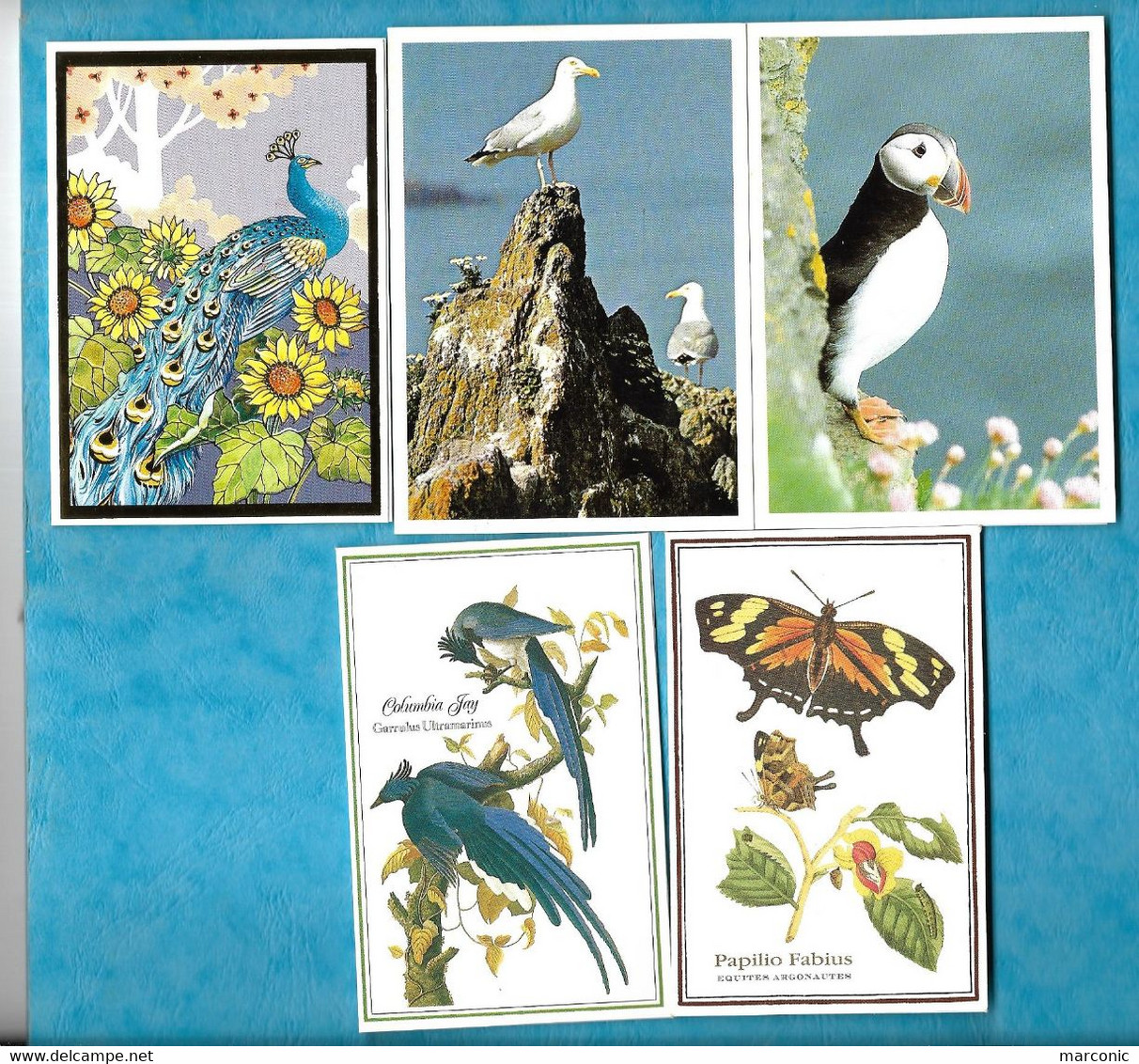 LOT De 9 Petits Calendriers - ANIMAUX, Paon, Oiseaux, Papillons, Dromadaire, Chien, Oie, Dauphin - Petit Format : 1991-00