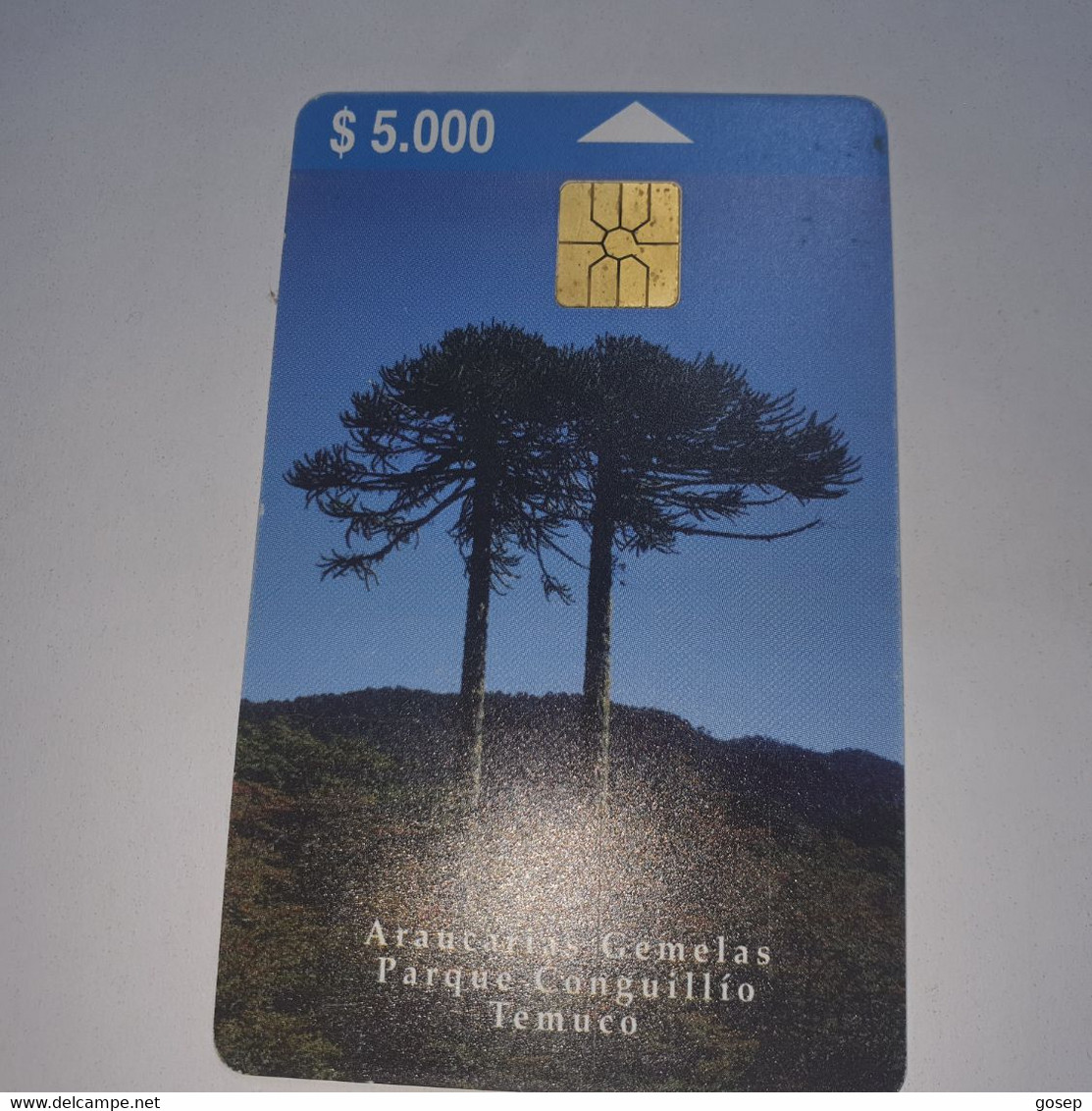 Chile-(cl-tlf-011)-araucarias-(71)-($5.000)-(G03616717)-(12/1999)-(tirage-20.000)-used Card+1card Prepiad Free - Chile