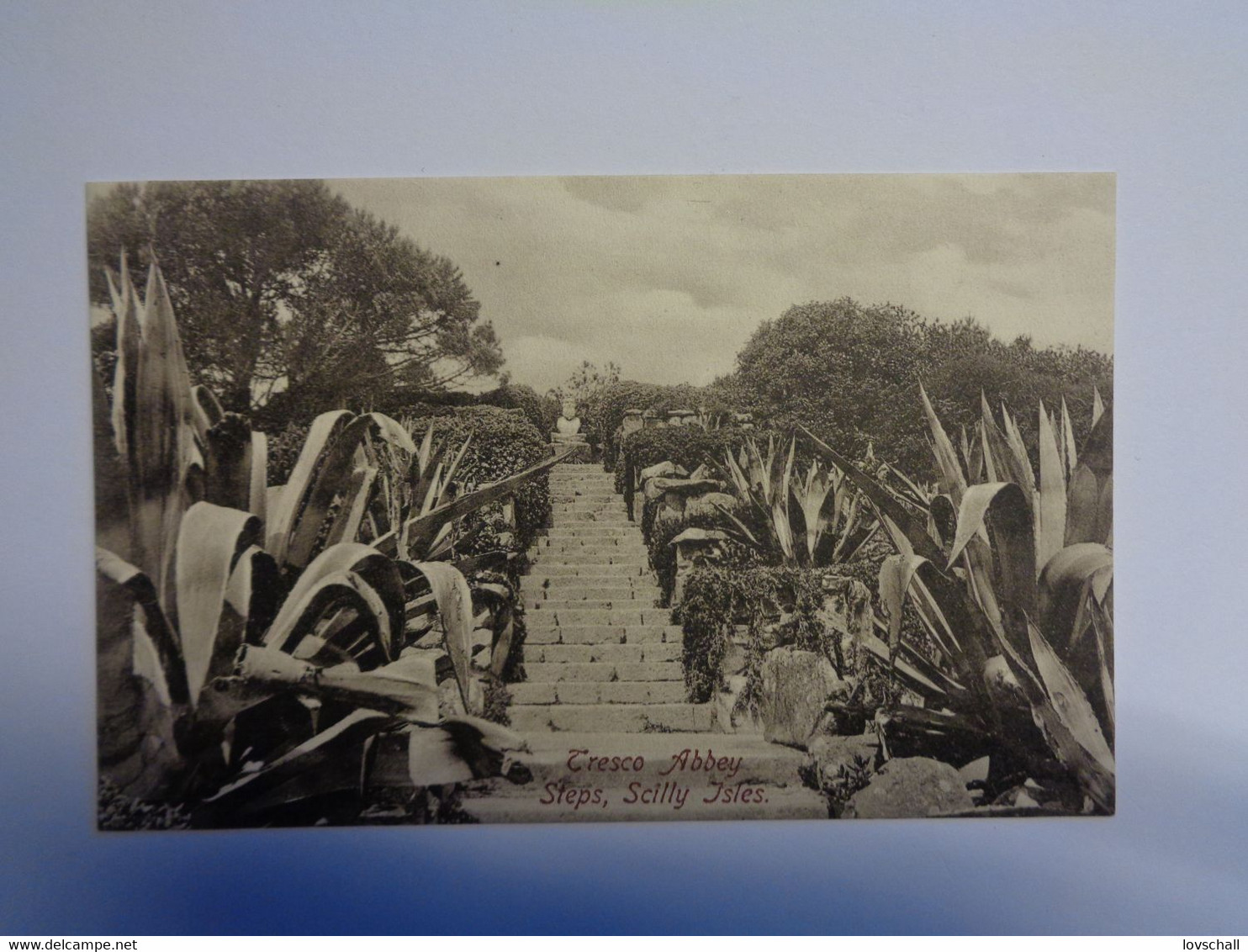 Schilly Isle.. - Tresco Abbey Steps. - Scilly Isles