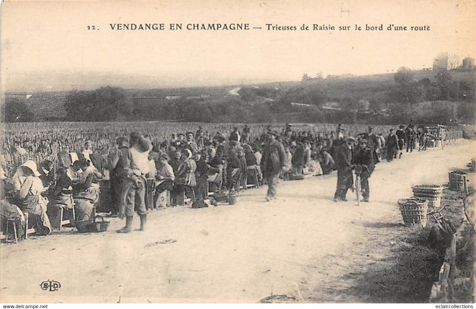 Divers . Non Classés    51     Vendange En Champagne.Trieuses De Raisin Sur Les Bords D'une Route N°12       (voir Scan) - Sonstige & Ohne Zuordnung