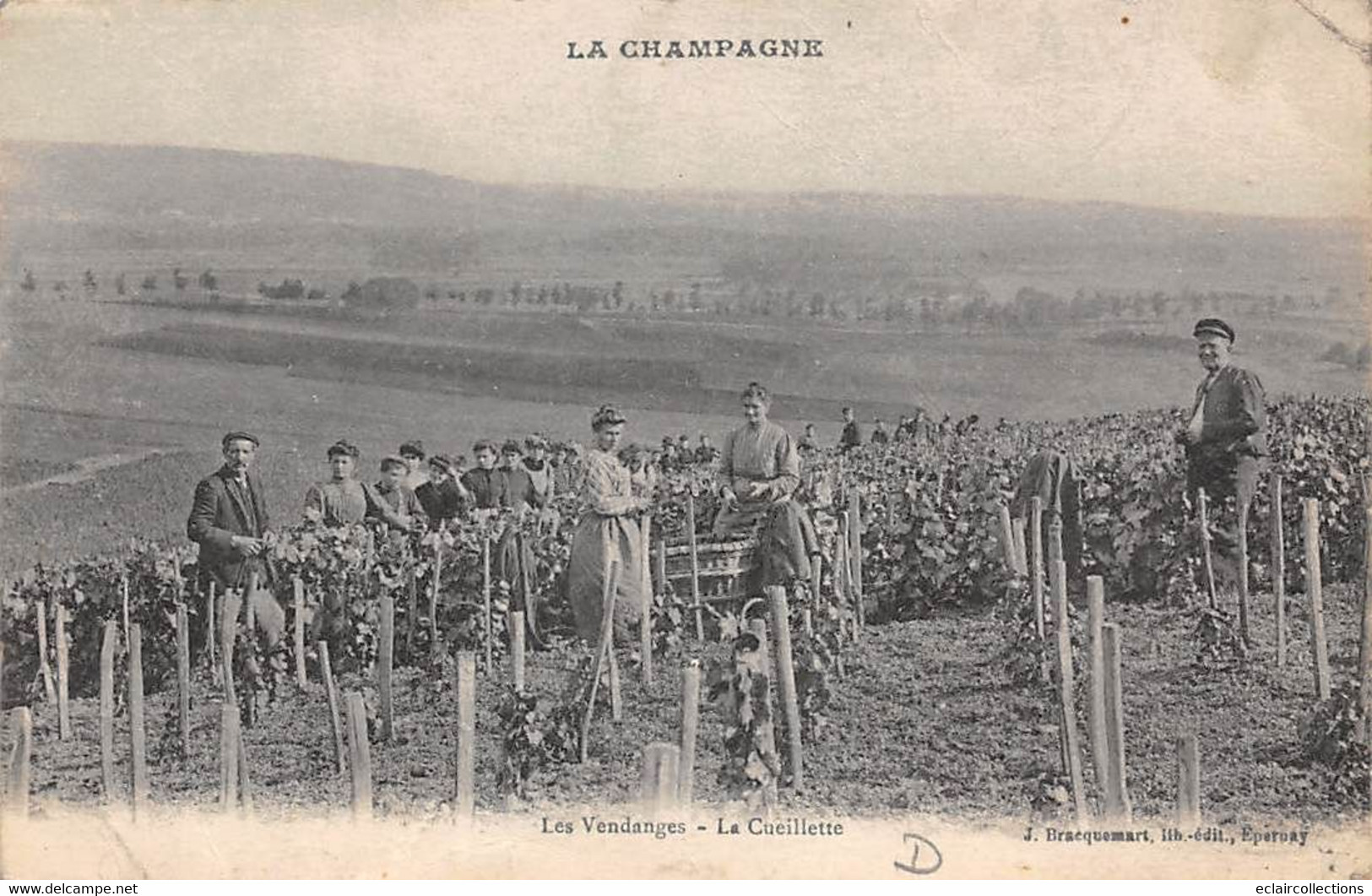Divers . Non Classés    51     Vendange En Champagne    La Cueillette    - 3 -                      (voir Scan) - Autres & Non Classés