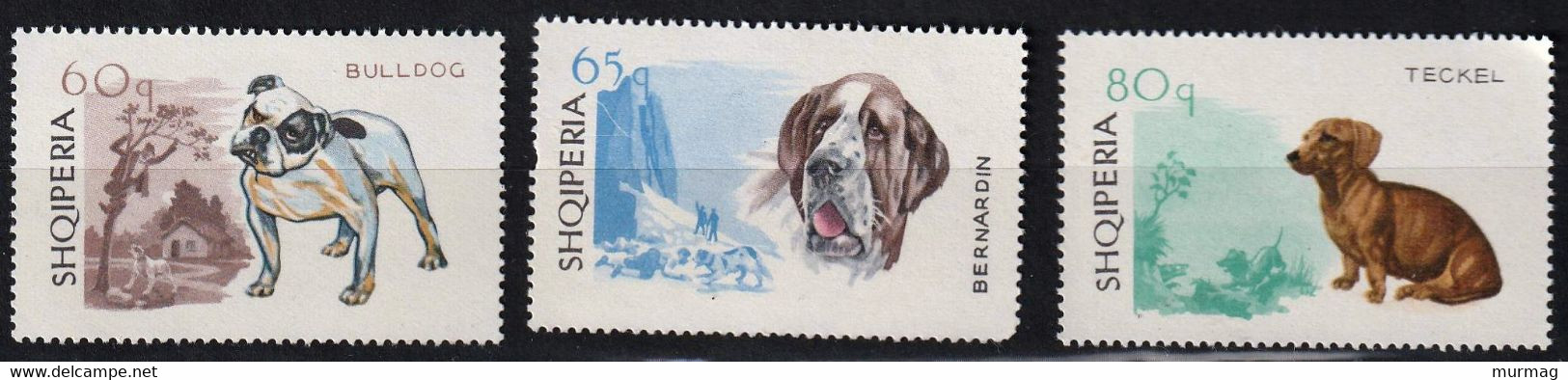 ALBANIE (Shqipéria) - Faune, Chiens - N° 932-*38 - MNH - 1966 - Albanien