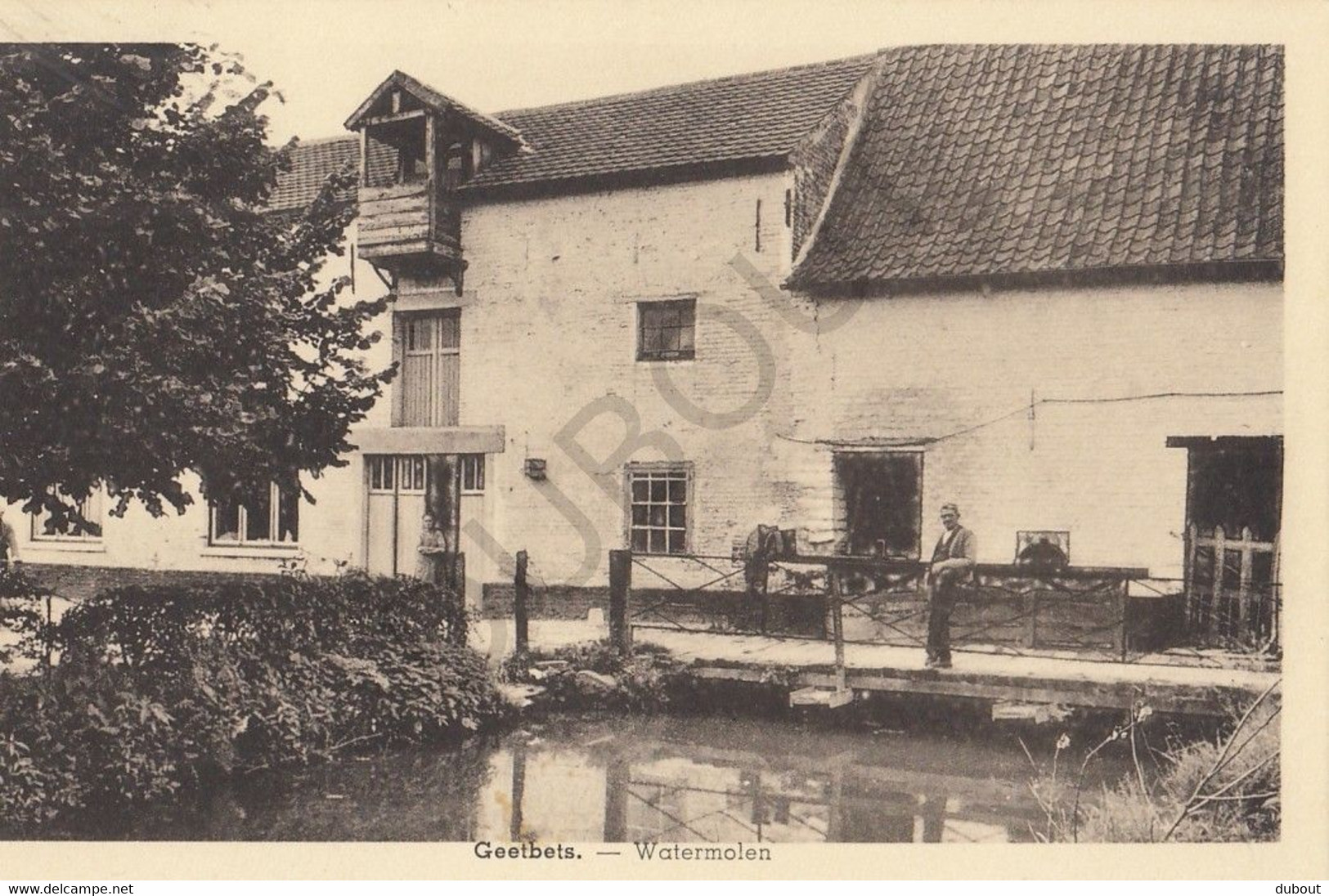 Postkaart/Carte Postale - GEETBETS - Watermolen  (C463) - Geetbets