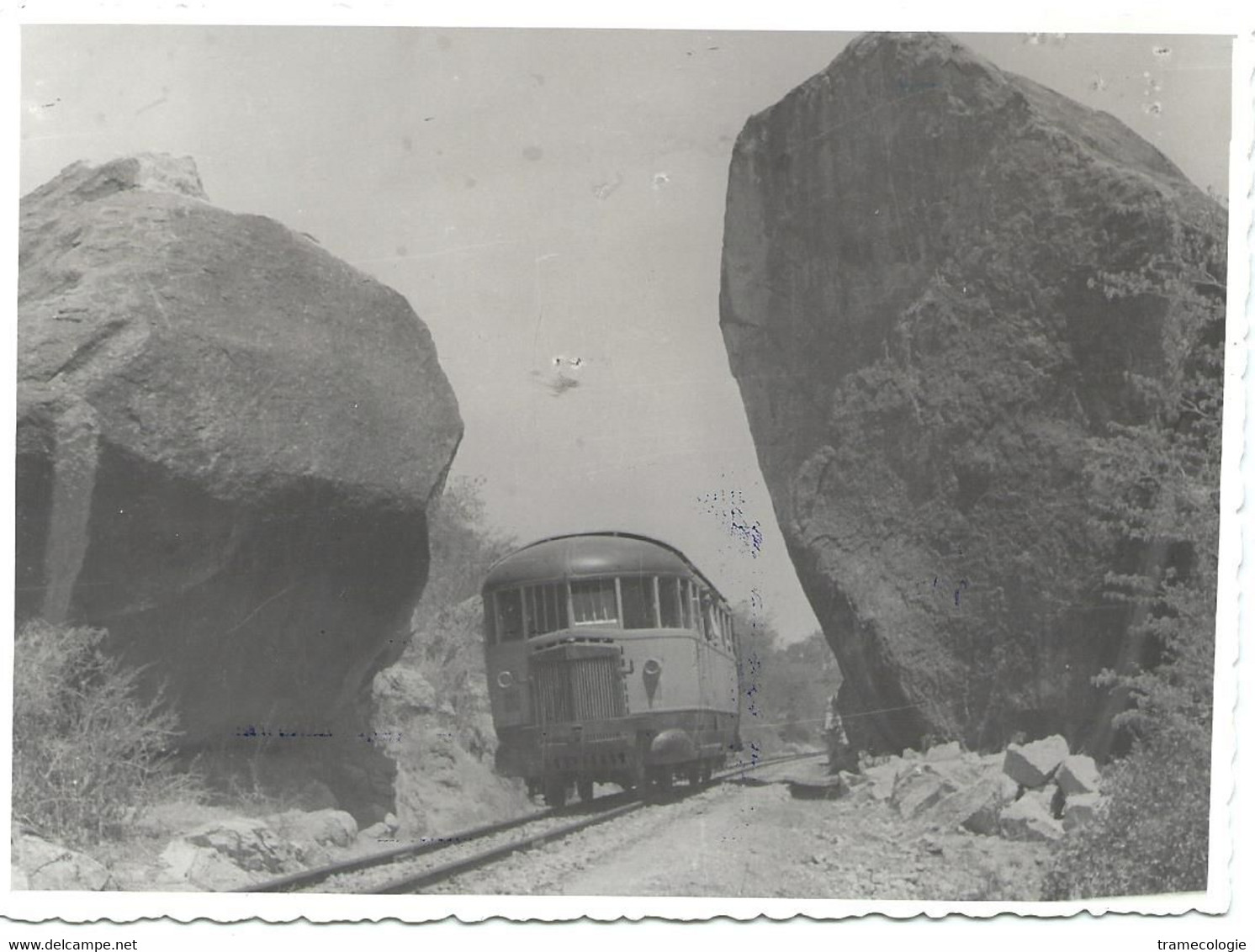 Eritrea Asmara Diesel Train Ferrovia Railway Eisenbahn Chemin De Fer Narrow Gauge Asmara - Cheren 1950s - Eritrea