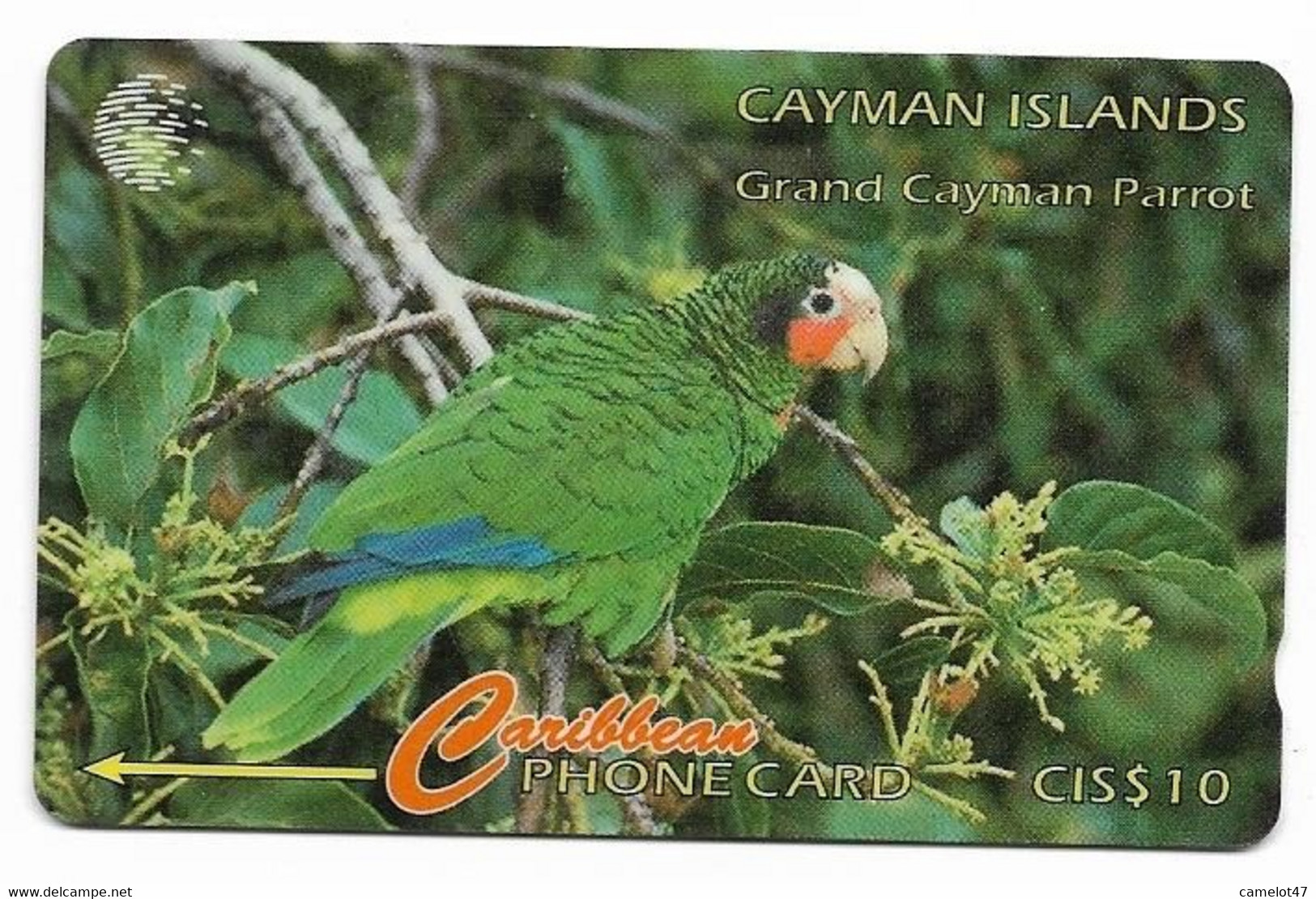 Cayman Islands, Caribbean, Used Phonecard, No Value, Collectors Item, # Cayman-6 Shows Wear - Kaaimaneilanden