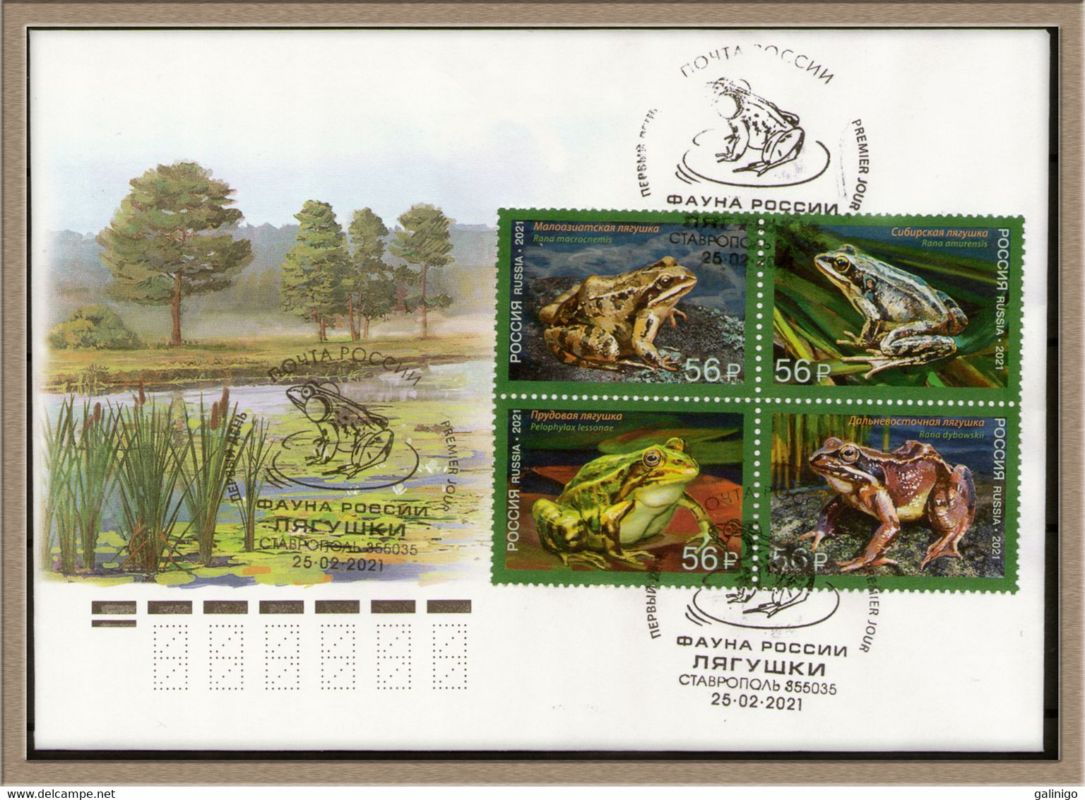 2021-2732-2735  RUSSIA FDC Manual Cancellation Stavropol  Fauna Of Russia. Frogs - Frogs