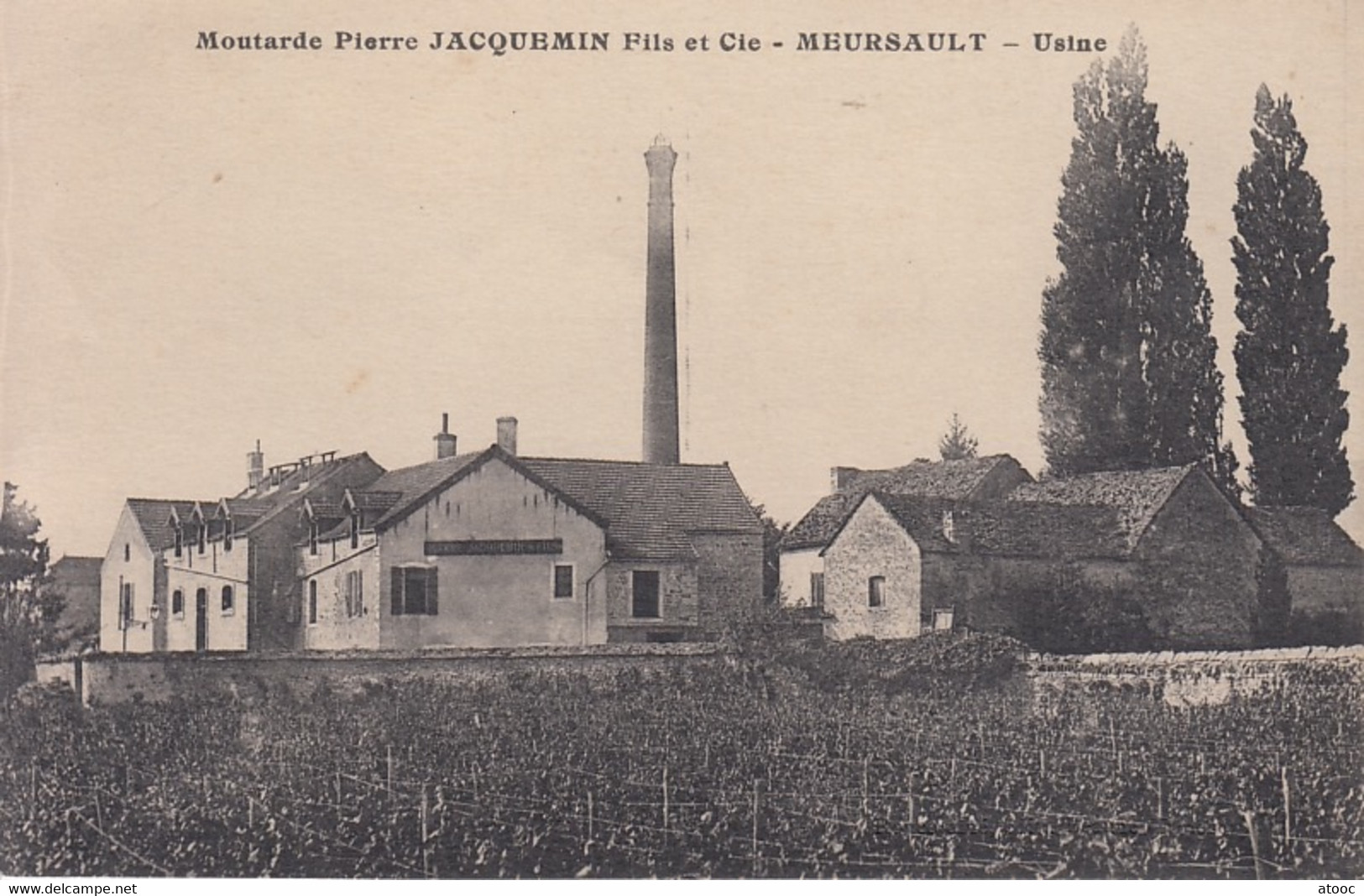 DIJON MEURSAULT Moutarde Pierre JACQUEMIN Lot d'archives