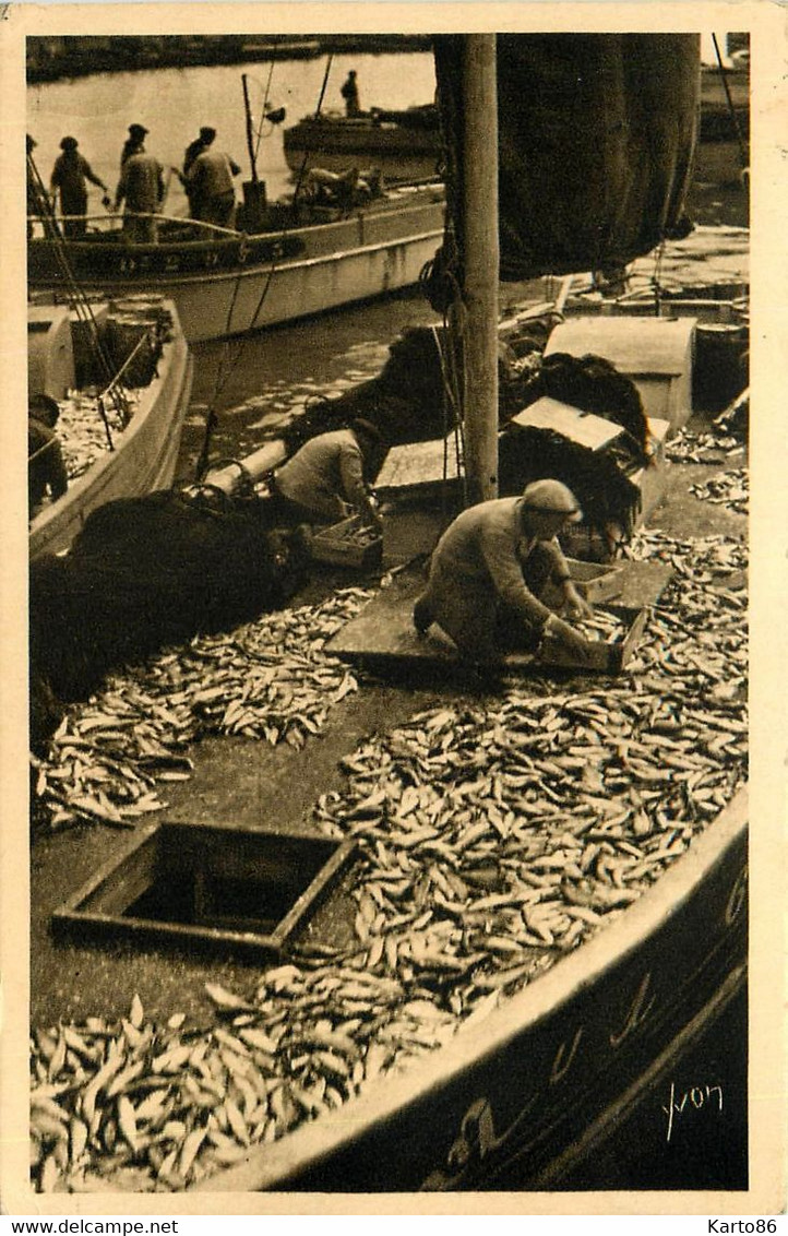 Douarnenez * Le Triage De La Pêche * Pêcheur Bateau Sardines * Sardiniers - Douarnenez