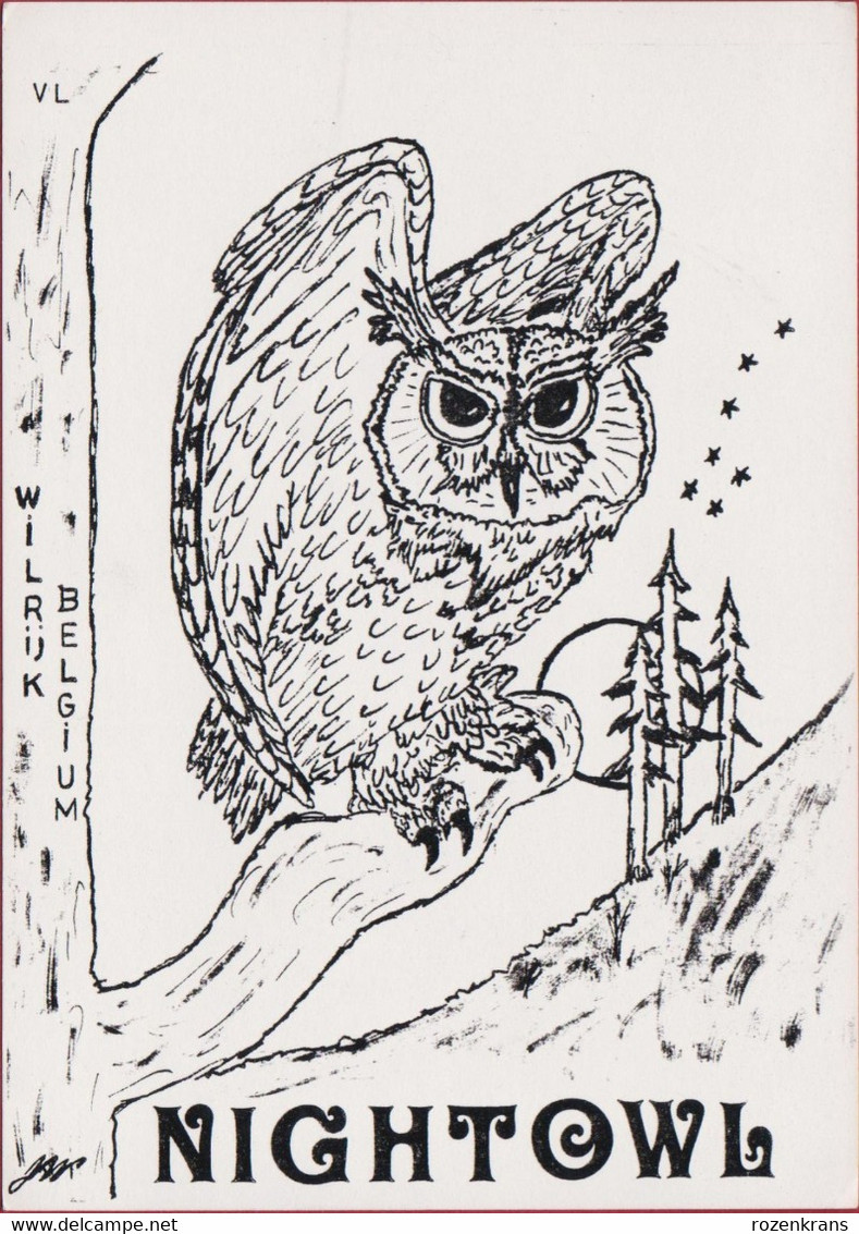 QSL Card Amateur Radio Station Nightowl Uil Owl Hibou Wilrijk Antwerpen - Amateurfunk