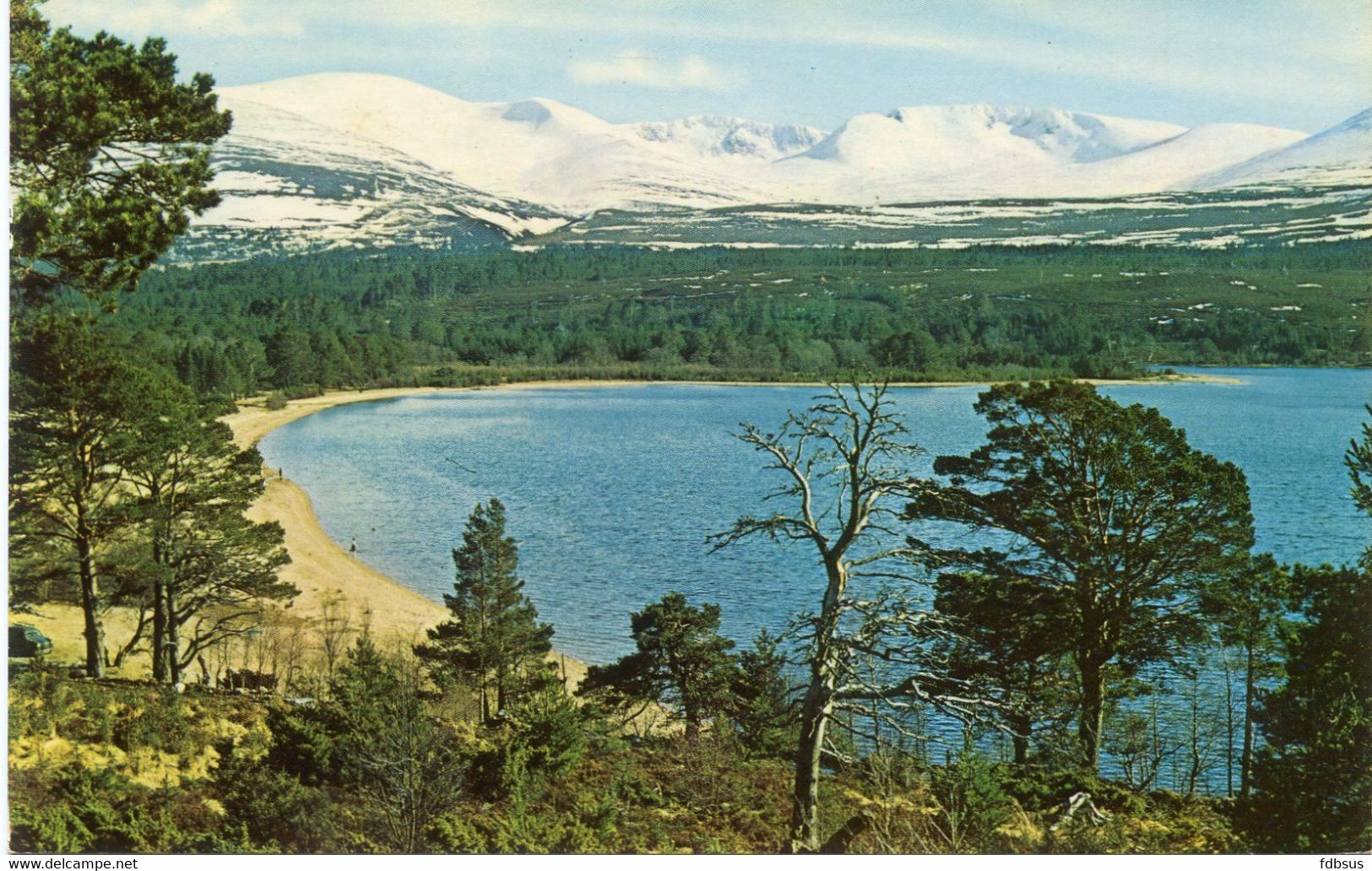 1969 Loch Morlich And The Snowclad Cairngorms -  Posted Nairn To Stekene - Card Nr PT35663 +stempel OOSTENDE C 1 C - - Nairnshire