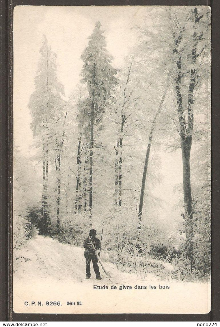 Carte P ( Suisse / Etude De Givre Dans Les Bois ) - Les Bois