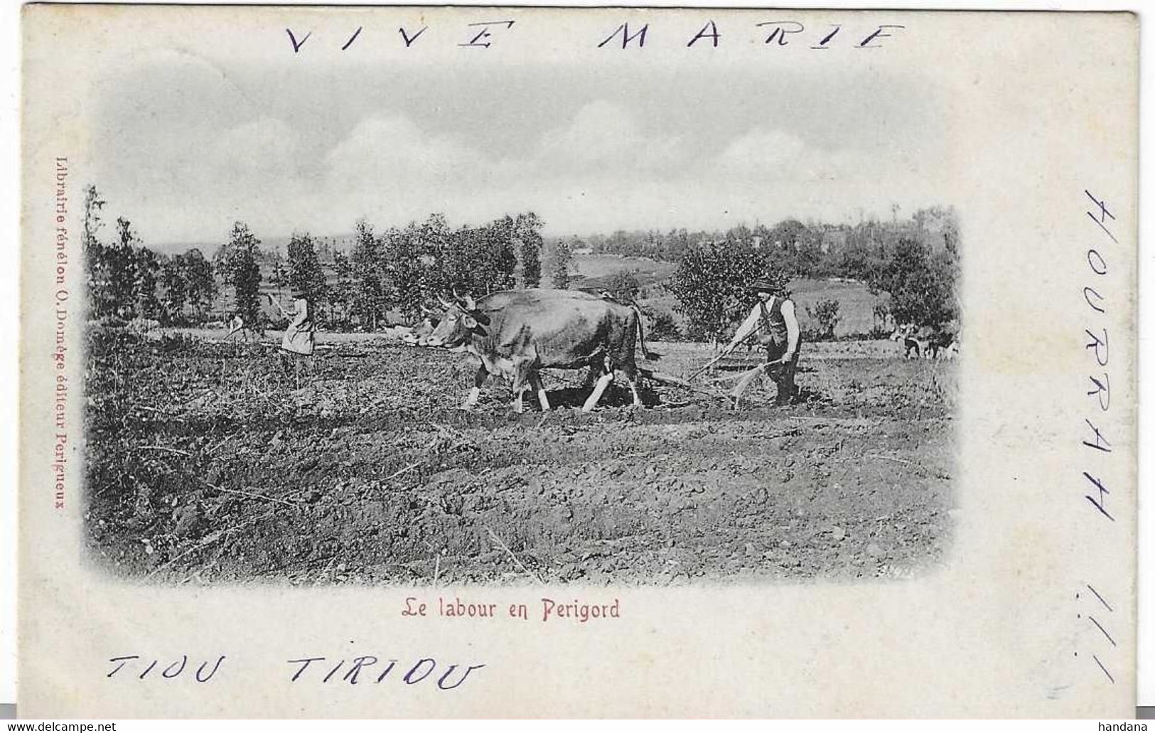 24 LABOUR EN PERIGORD CHARRUE EDITEUR A PERIGUEUX 1902 ANIMATION  BEAU  PLAN A  VOIR - Landwirtschaftl. Anbau