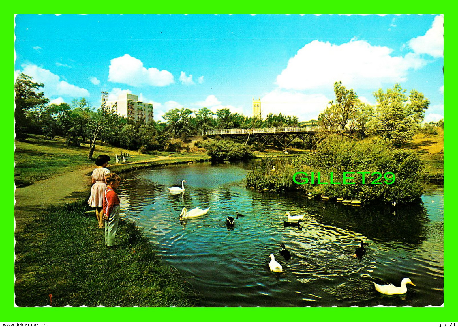 MOOSE JAW, SASKATCHEWAN - CRESCENT PARK - ANIMATED KID AND DUCKS - COLOR PHOTO BY JOE FARTAK - - Other & Unclassified