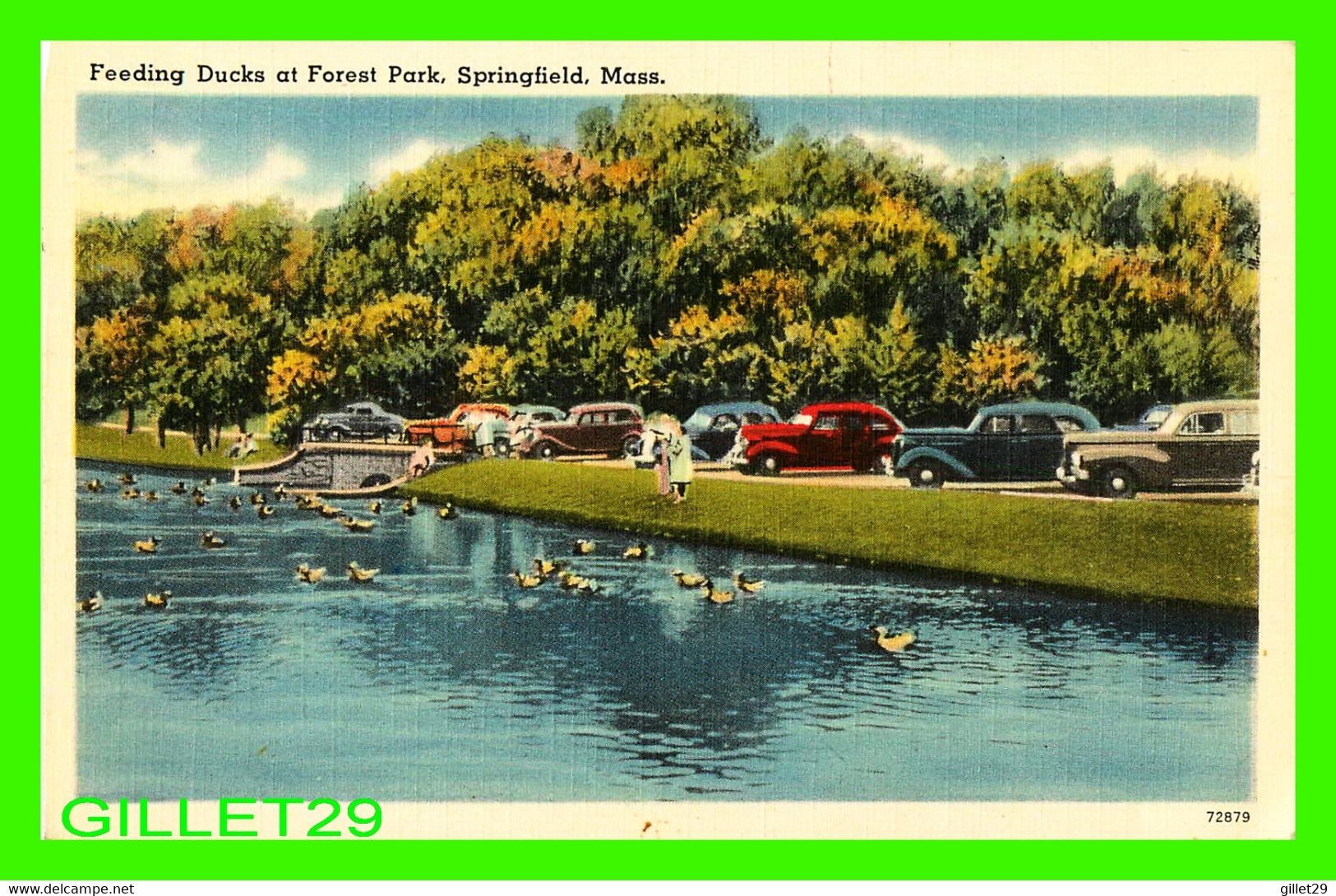 SPRINGFIELD, MA - FEEDING DUCKS AT FOREST PARK - ANIMATED WITH PEOPLES & OLD CARS - THE UNION NEWS CO - - Springfield
