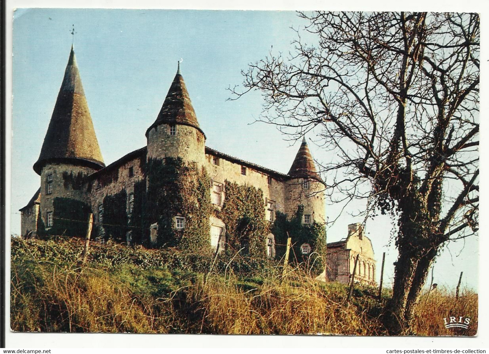 AUNIS ET SAINTONGE , CHILLAC , Le Château , L' église - XII S. - Sonstige & Ohne Zuordnung