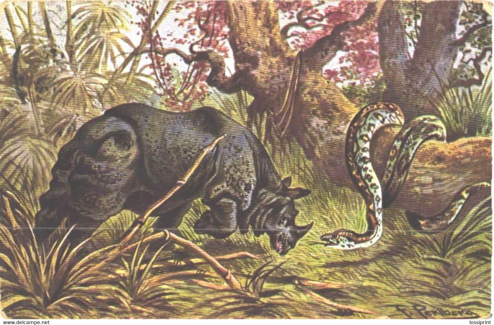 F.Perlberg:Rhinoceros With Snake, Pre 1929 - Rhinoceros