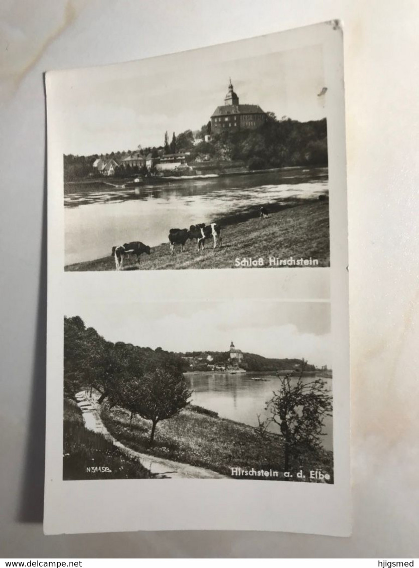 Germany Deutschland Hirschstein Water Mill Wasser Mühle Muehle Schloss Castle Cow Elbe 12644 Post Card POSTCARD - Hirschstein