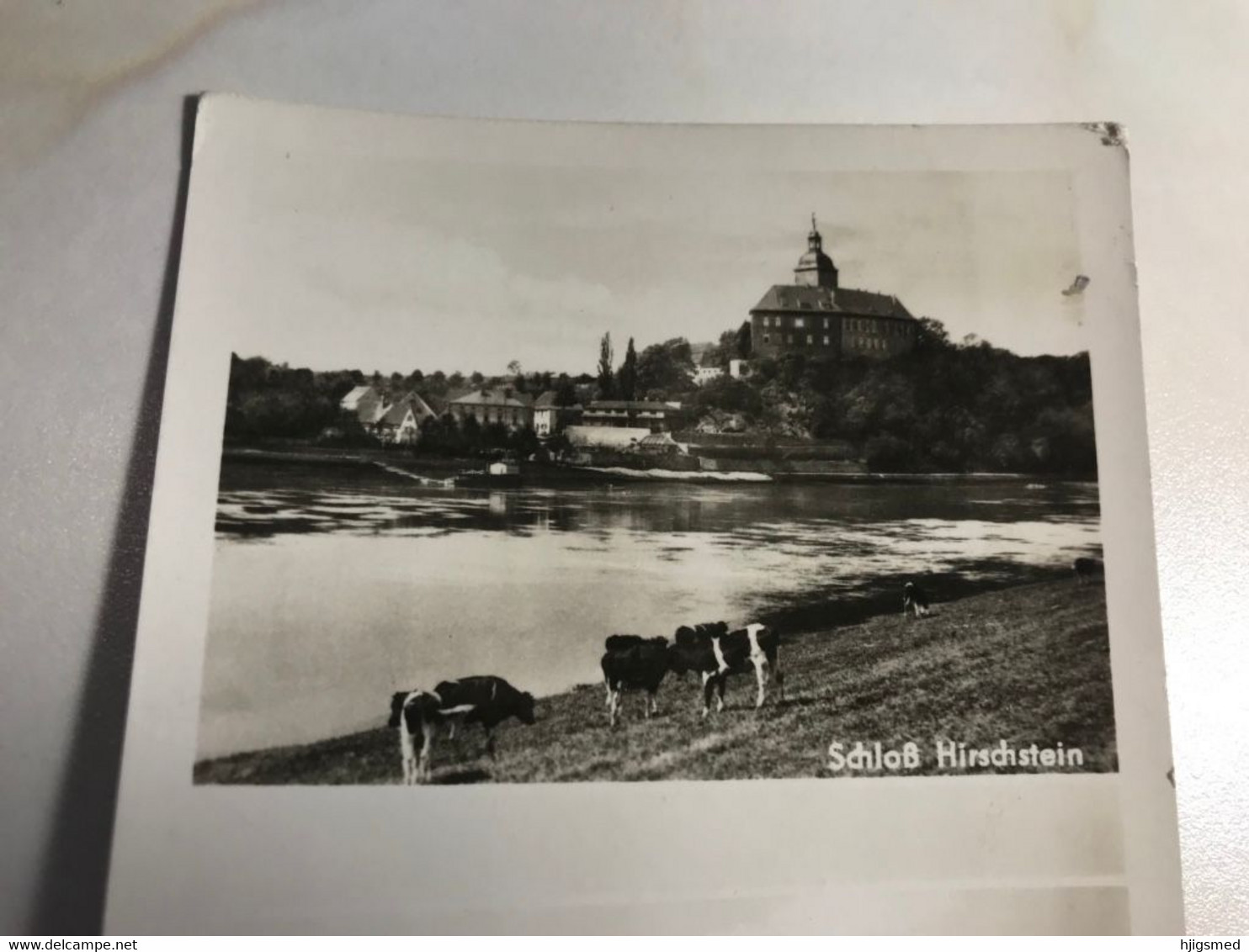 Germany Deutschland Hirschstein Water Mill Wasser Mühle Muehle Schloss Castle Cow Elbe 12644 Post Card POSTCARD - Hirschstein