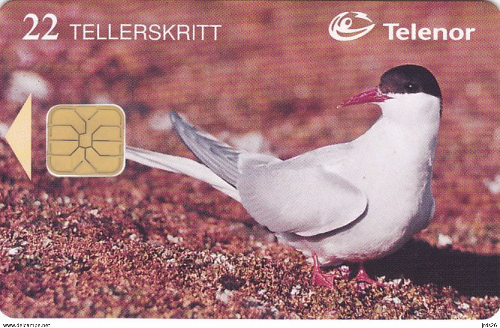 Norway - - - Phonecard Chip - - - Tern - Noruega