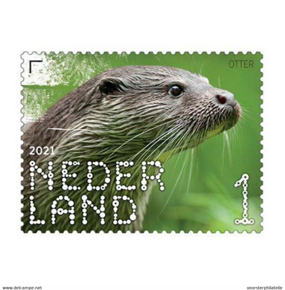 D(B) 205 ++ NEDERLAND NETHERLANDS PAYS BAS 2021 BELEEF DE NATUUR OTTER MNH ** - Ungebraucht