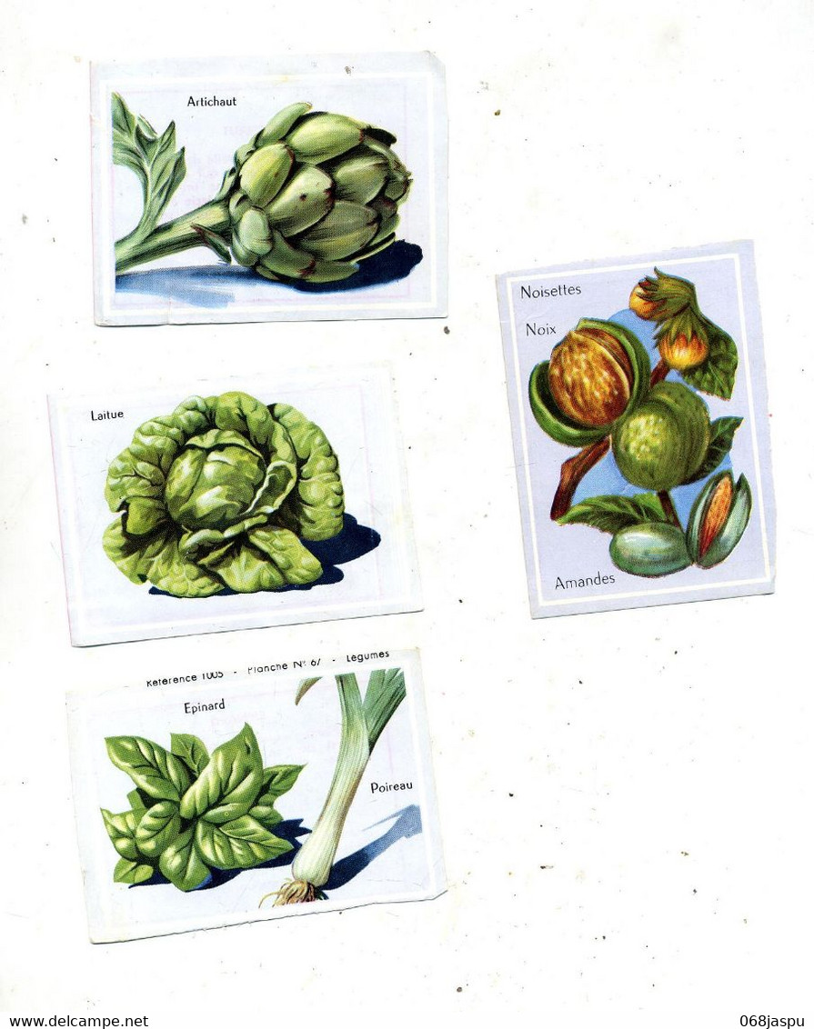 Lot 8 Images Fruit Legume - Learning Cards