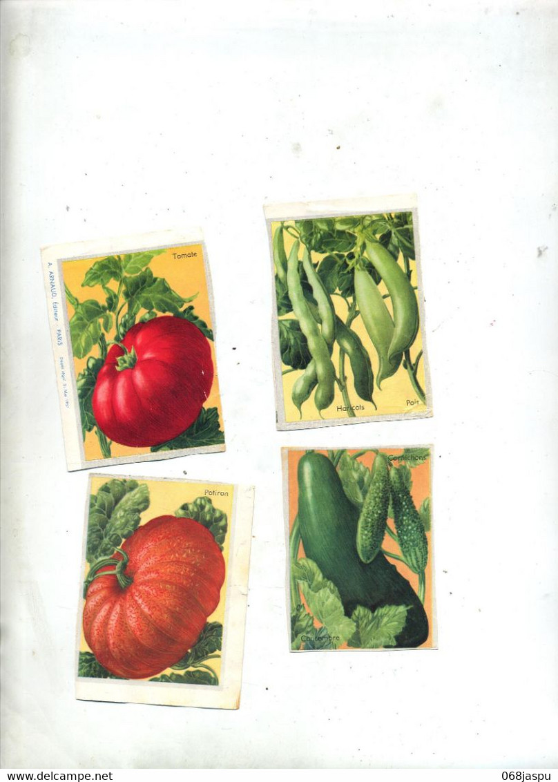 Lot 8 Images Fruit Legume - Learning Cards