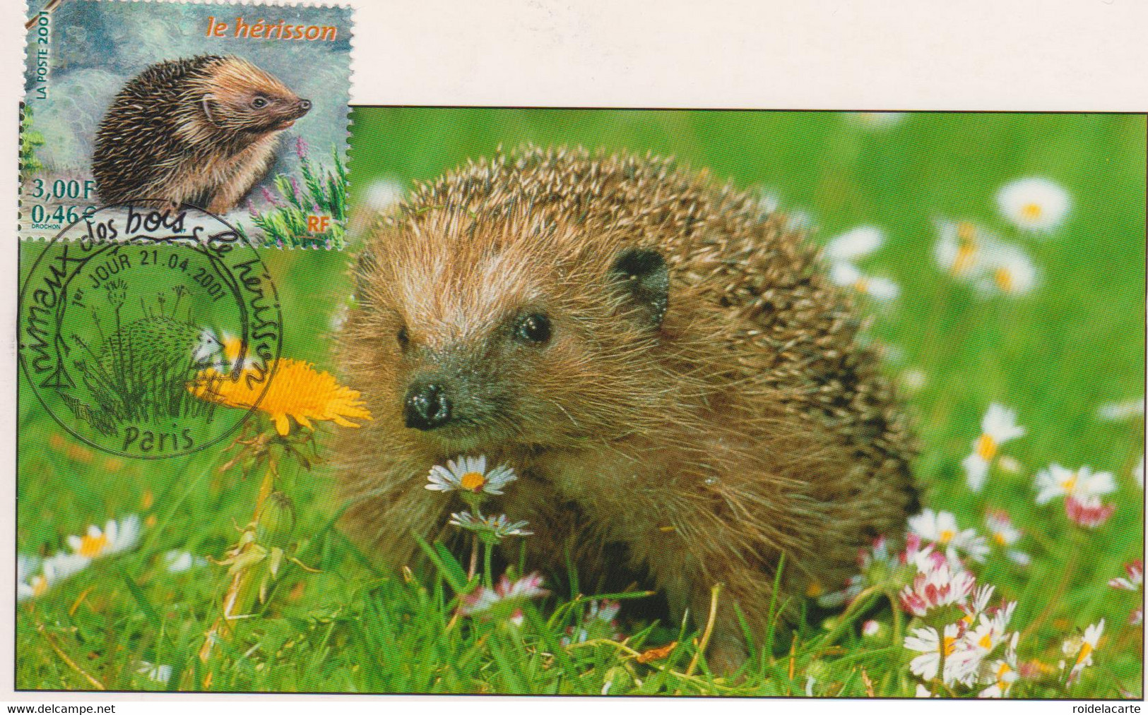 CM-Carte Maximum Card # 2001-France (N°Yvert 3383) Animaux,Animals,Tiere # Hérisson ,Igel, Hedgehog  # Paris - 2000-2009