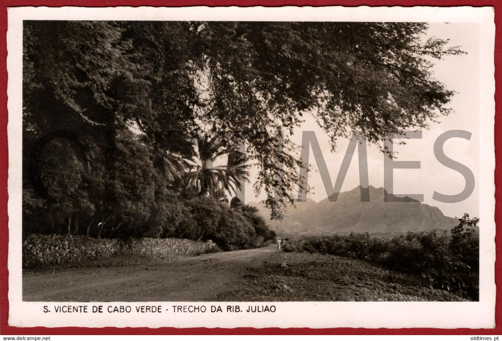 CABO VERDE - SAO VICENTE - TRECHO DA RIBEIRA JULIAO - 1950 REAL PHOTO PC - Cap Vert