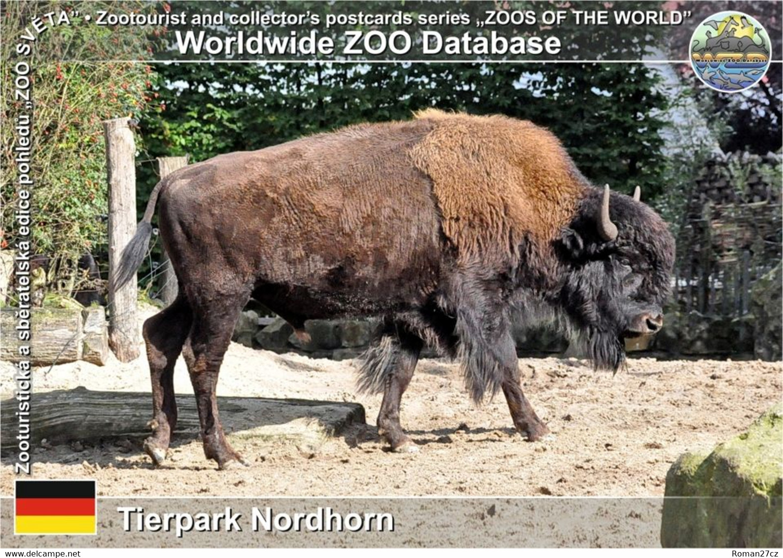 00900 Tierpark Nordhorn, DE - Wood Bison (Bison Bison Athabascae) - Nordhorn