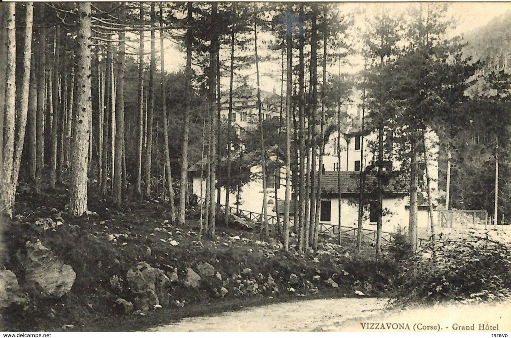 CORSE -  LOT De 3 Cp à Différentes époques Du GRAND HOTEL DE LA FORET à VIZZAVONA (VIVARIO) - Sonstige & Ohne Zuordnung