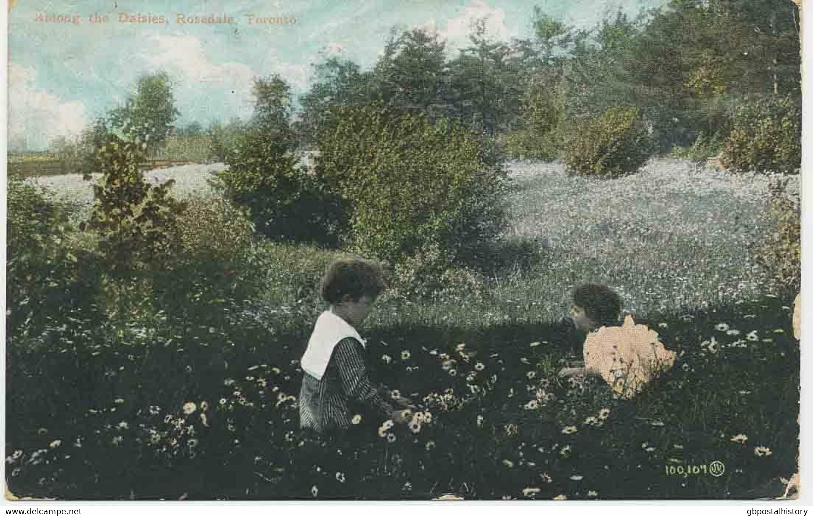 CANADA 1920 Used Coloured Pc "Among The Daisies, Rosedale, TORONTO" - Toronto