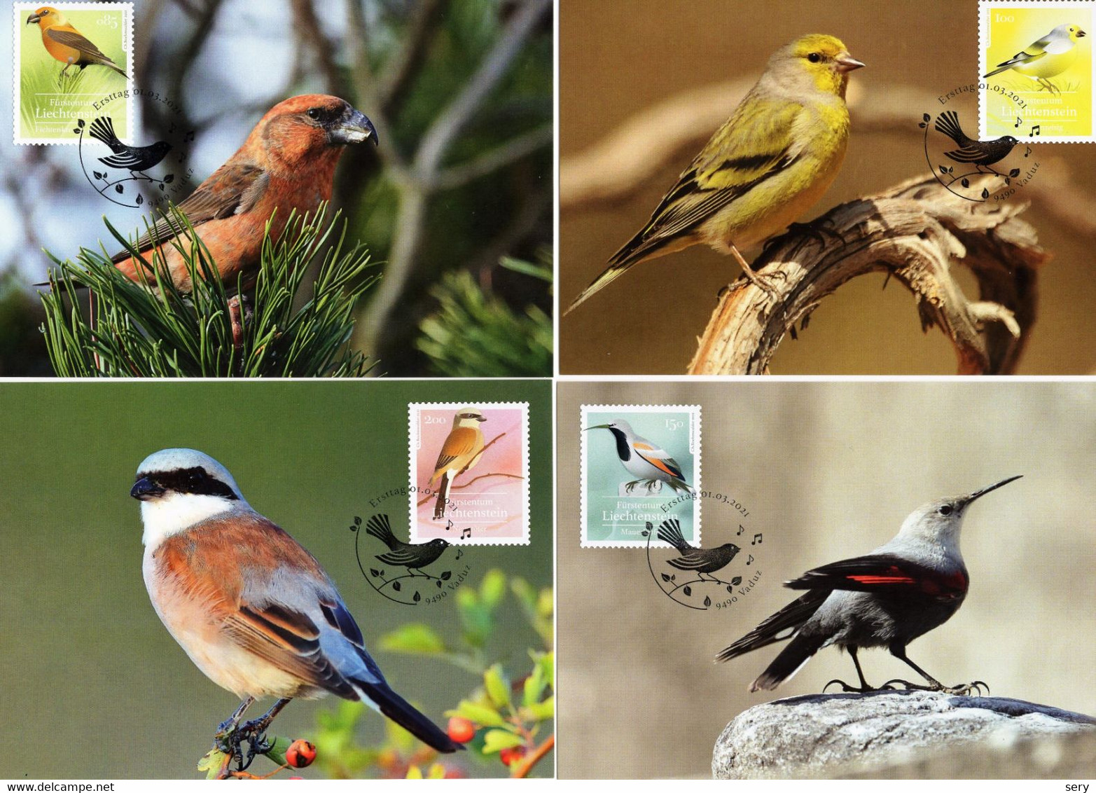 Liechtenstein 2021 Set 4 MC Maximum Cards Native Songbirds Heimische Singvögel Oiseaux Chanteurs Indigènes - Other & Unclassified