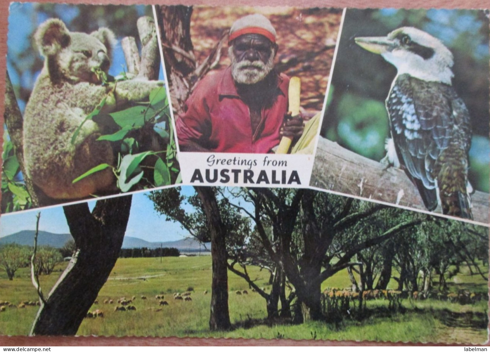 AUSTRALIA NATIV ISLAND PC CPA CPM POSTCARD PICTURE CARTOLINA PHOTO CARD KARTE - Dubbo
