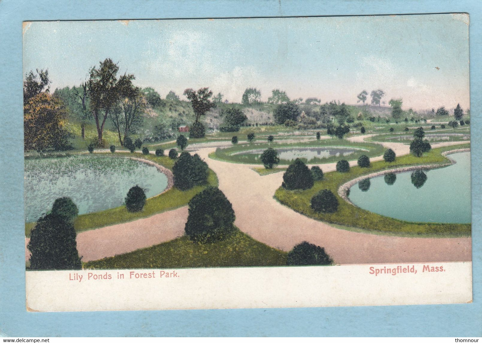 SPRINGFIELD  -  LILY  PONDS  IN  FOREST  PARK - Springfield