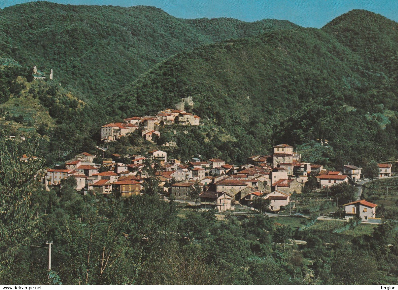 4037/A/FG/21 - PIEVE DI CODIPONTE (MASSA) - Panorama - Massa