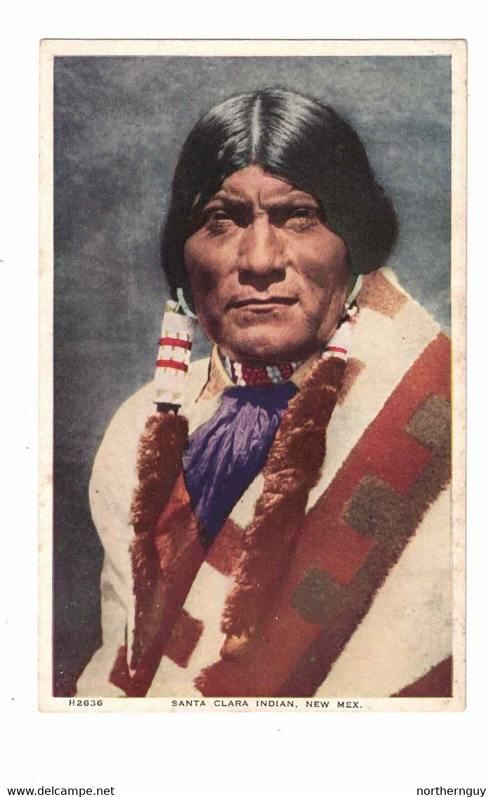 New Mexico, USA, Indian, "Santa Clara Indian", Pre-1915 Postcard - America