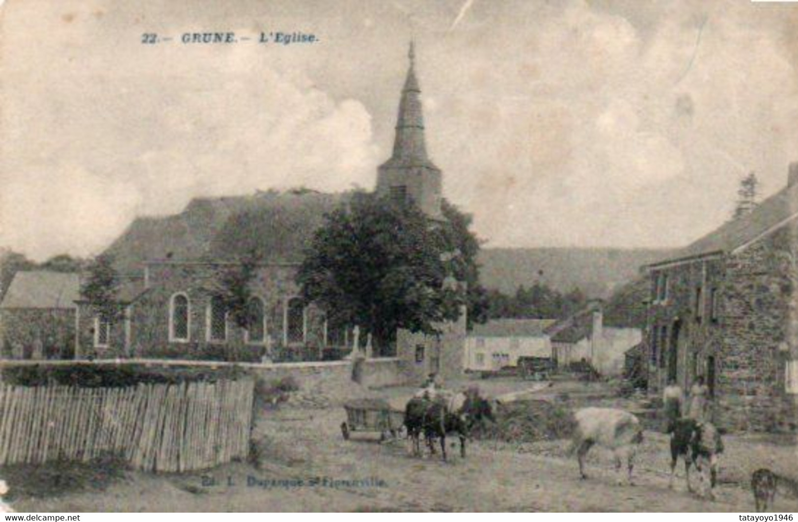 GRUNE  L'eglise  Attelage Vaches N'a Pas Circulé - Nassogne