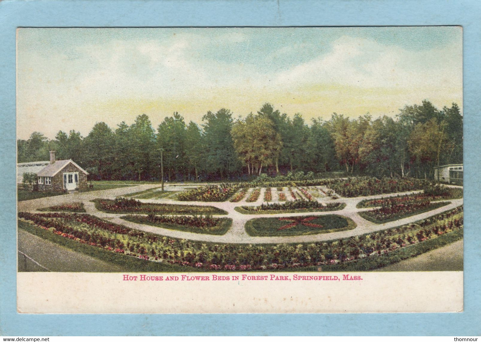 SPRINGFIELD  -  HOT  HOUSE  AND  FLOWER  BEDS  IN  FOREST  PARK   - - Springfield