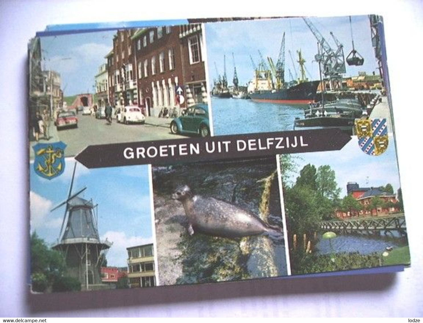 Nederland Holland Pays Bas Delfzijl Zeehond, Haven En Oude Auto's - Delfzijl